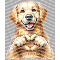 Valentine's Day-QRJ  4701